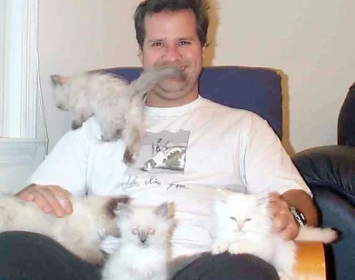 Sean Donovan at home with three Himalayan kittens